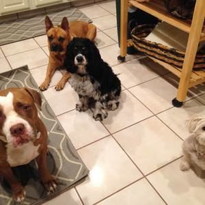 Meet your Posher, Laura